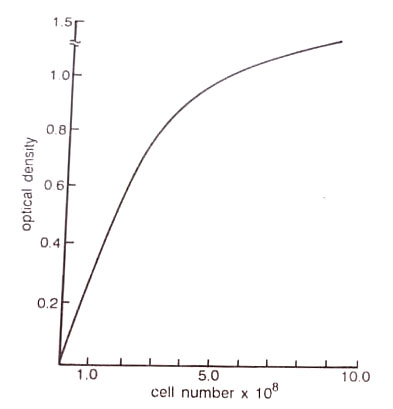 A standard curve showing the relationship between optical density and cell number